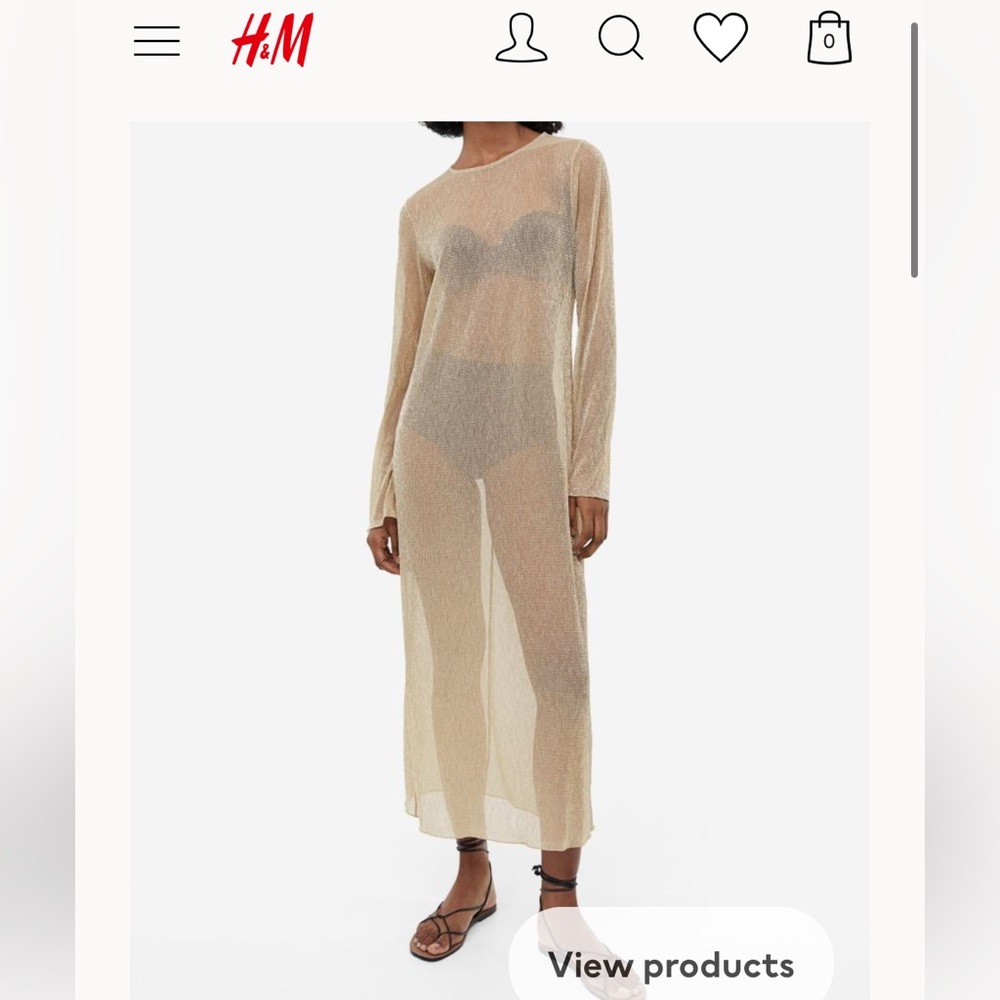 ISO H&M Shimmery Sheer Beige Gold Dress